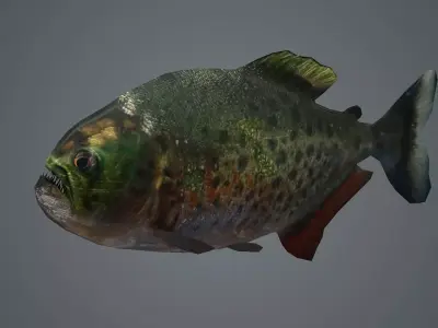 piranha fish monster amazon salmon river sea  3D model