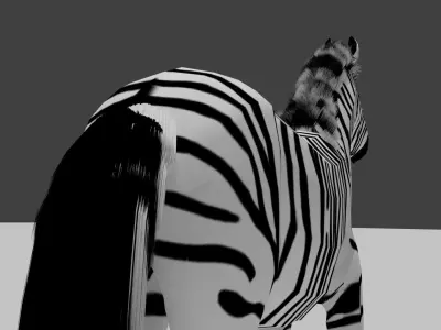 Zebra Free 3D model