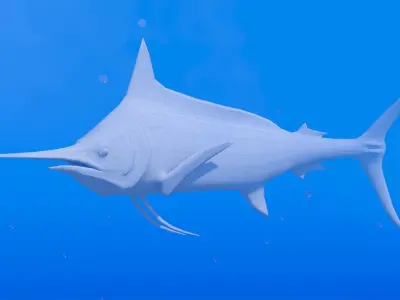 Blue Marlin Low-poly 3D model