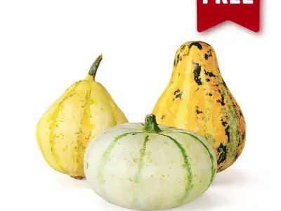 Decorative pumpkins Free 3D model