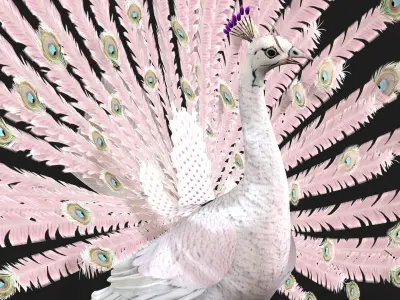 Peacock V3E 3D model