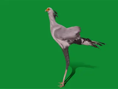Secretary Bird Free 3D model