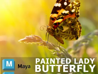 Painted Lady - Butterfly Rig 3D model