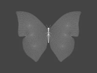 BFLY-006 Butterfly 3D model