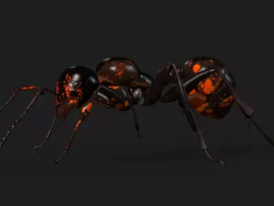 Ant A2 Free 3D model