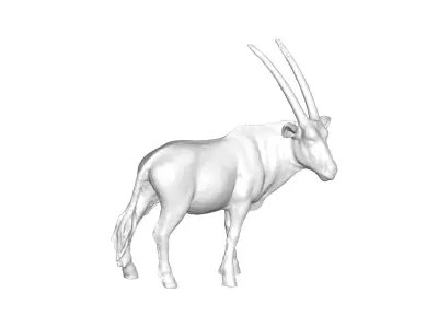 Oryx - 3D model