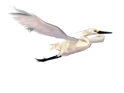 Animated Storck Low Poly Art Low-poly 3D model