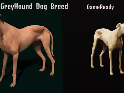 Greyhound Dog Breed Free low-poly 3D model