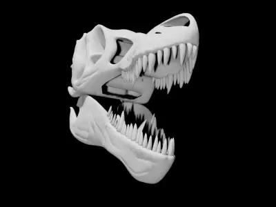 Trex skull Low-poly 3D model