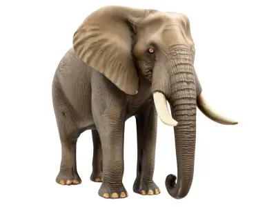 Realistic African Elephant Low-poly 3D model