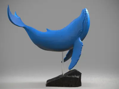 Blue Whale Free 3D print model