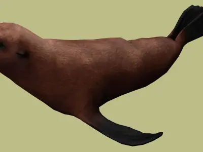 SEAL RIGGED ANIMATED 3 Low-poly 3D model