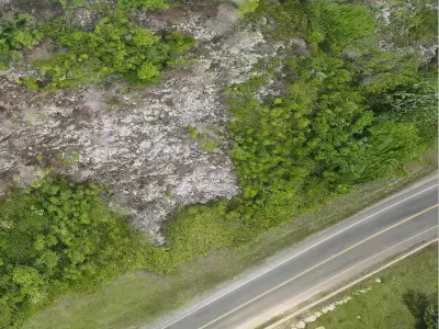 BMC-CAMINO Free 3D model