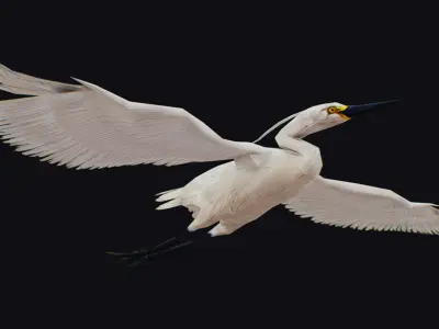 Stork Flying Bird Realistic Heron Animated Animal Lowpoly Low-poly 3D model