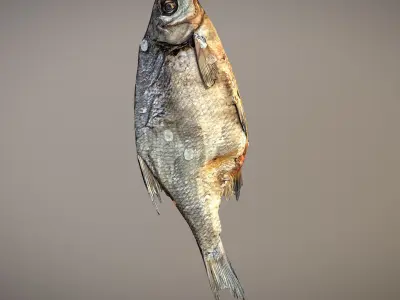 Photorealistic 3Dscan of dried open fish Low-poly 3D model