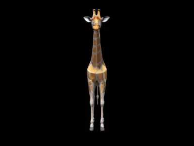 3d Model Giraffes Are The Tallest Land Animals 3D model