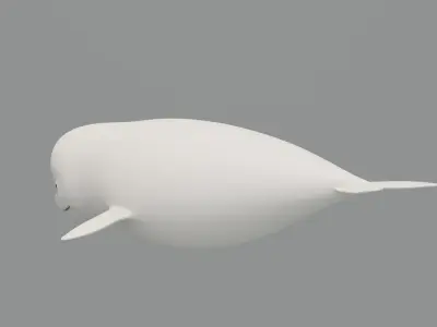 Rigged Cartoon Beluga Whale 3D model