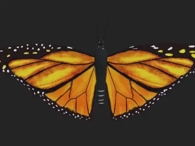 Low poly Butterfly Low-poly 3D model