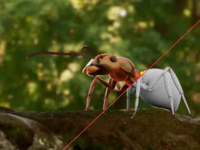 Realistic ant 3D Model Low-poly 3D model