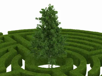 Labyrinth Garden with Tree 3D model