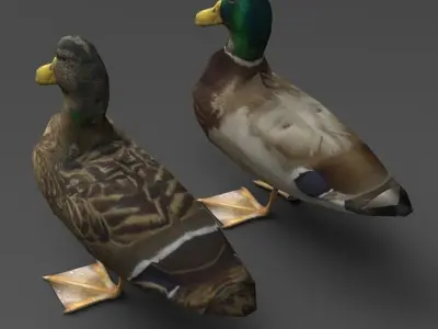 Ducks Low-poly 3D model