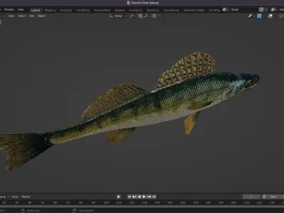 Perch Fish Low-poly 3D model