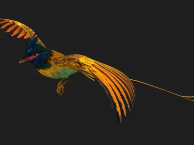 PheasantBird A2 3D model