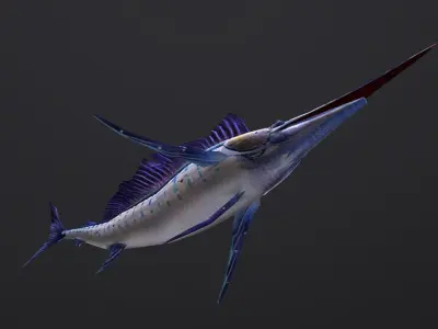 animated sailfish billfish Low-poly 3D model