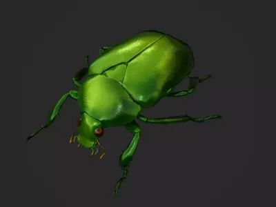 Green Scarab Beetle Green Chafer Mimela splendens gyllenhaal  Low-poly 3D model