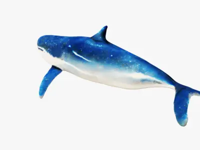 Whale Free 3D model
