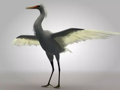 Egretta eulophotes Egret Bird Low-poly 3D model