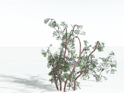 EVERYPlant Baiera 3 --14 Models-- 3D model