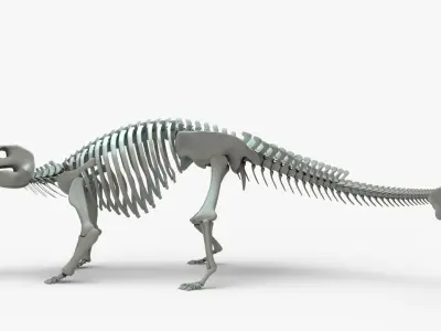 Ankylosaurus Rigged Skeleton Low-poly 3D model