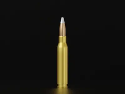 5 Bullet Collection silver 3D model