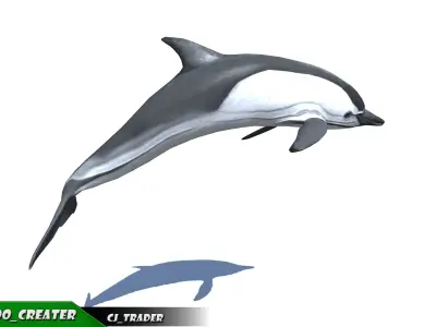 Low-Poly Dolphin Rigged Animated 3D model Low-poly 3D model