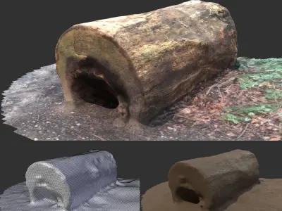 3D sawn of tree part 2 Low-poly 3D model