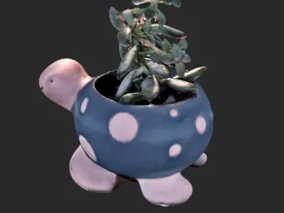 Succulent Turtle Pot Plant 3D model