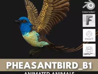 PheasantBird B1 3D model