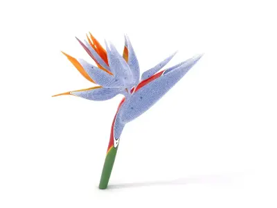 Vibrant Strelitzia model pack Low-poly 3D model