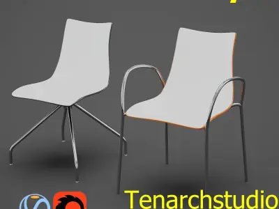 Tenarchstudio Zebra Bicolore Render ready  Free 3D model