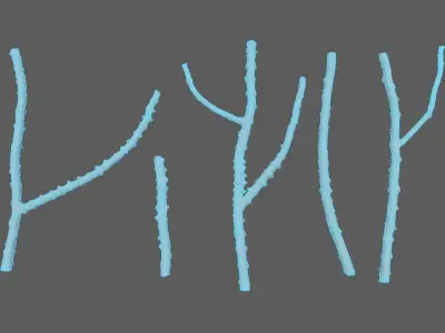 Small Branches 3D model