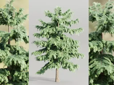 Pine trees collection vol 107 Blender Free 3D model