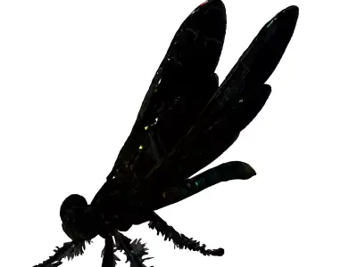 Realistic Dragonfly 3D Model Low-poly 3D model