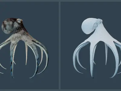 Animated Caribbean Reef Octopus Low-poly 3D model