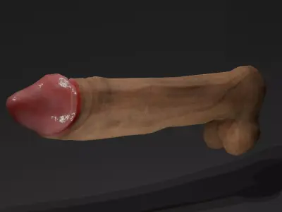 male genitalia - Penis low poly Low-poly 3D model