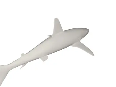 Shark wild animals 3D model