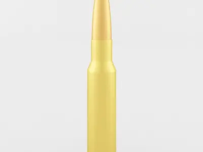 The Pistol and Rifle Cartridge Collection  3D model