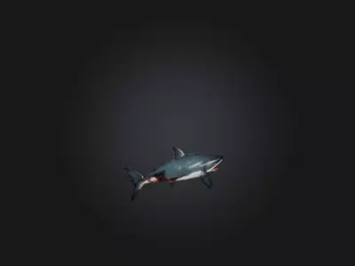 Realistic Wounded Shark Model Low-poly 3D model