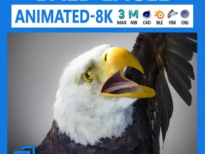 Animated Bald Eagle 3D model
