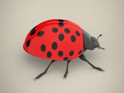 Ladybird ladybug 3D model